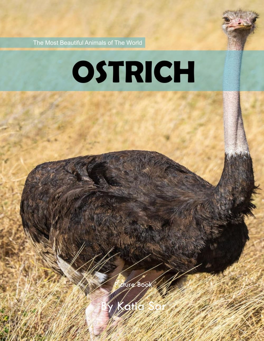 Ostrich: A perfect Coffee Table Picture Book - For Bird Watchers and Nature Enthusiasts .
