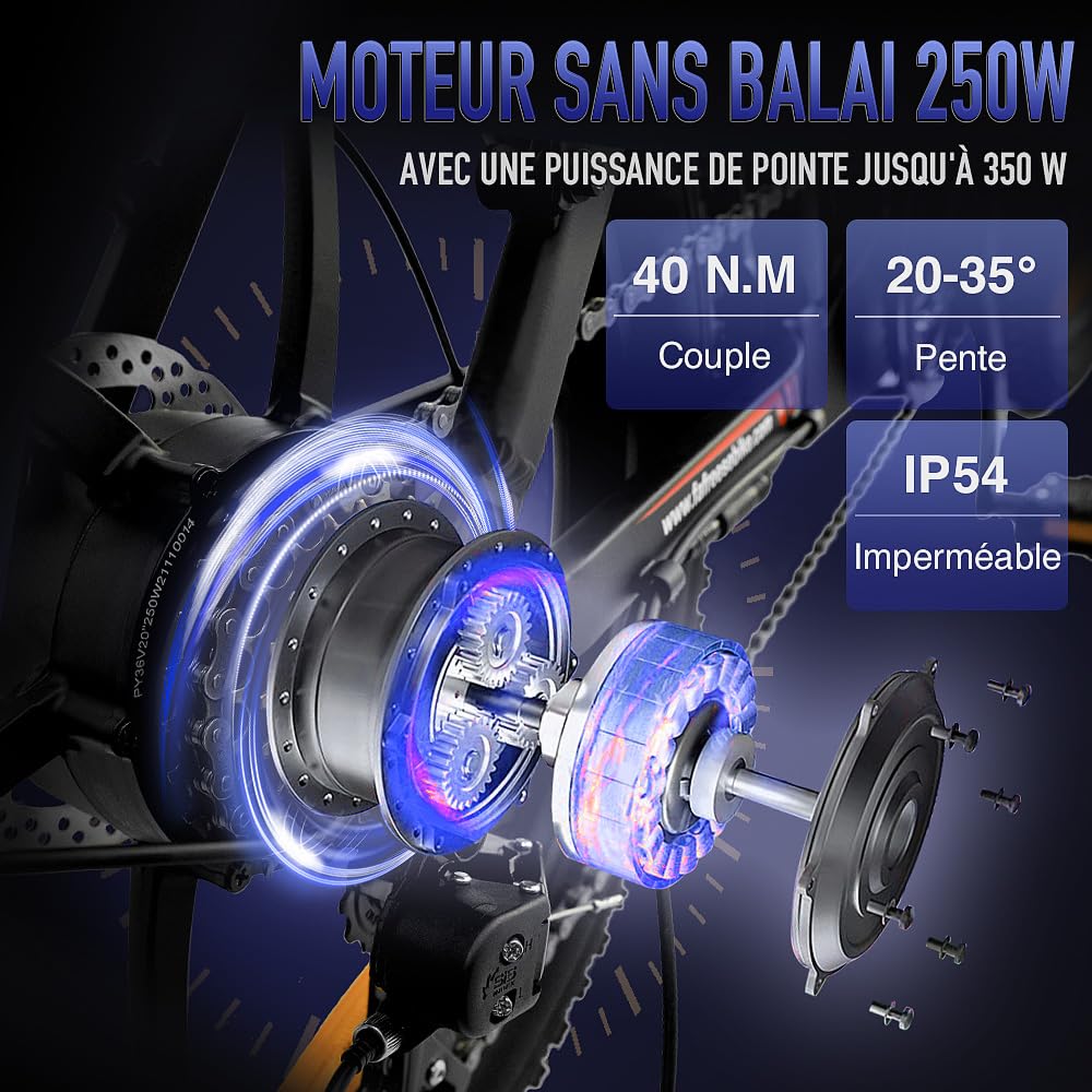 Fafrees F20 Vélo électrique Pliant 20 * 3.0 Pouces, VAE 250W Moteur, 36V 16Ah Batterie, Autonomie 60-130 km