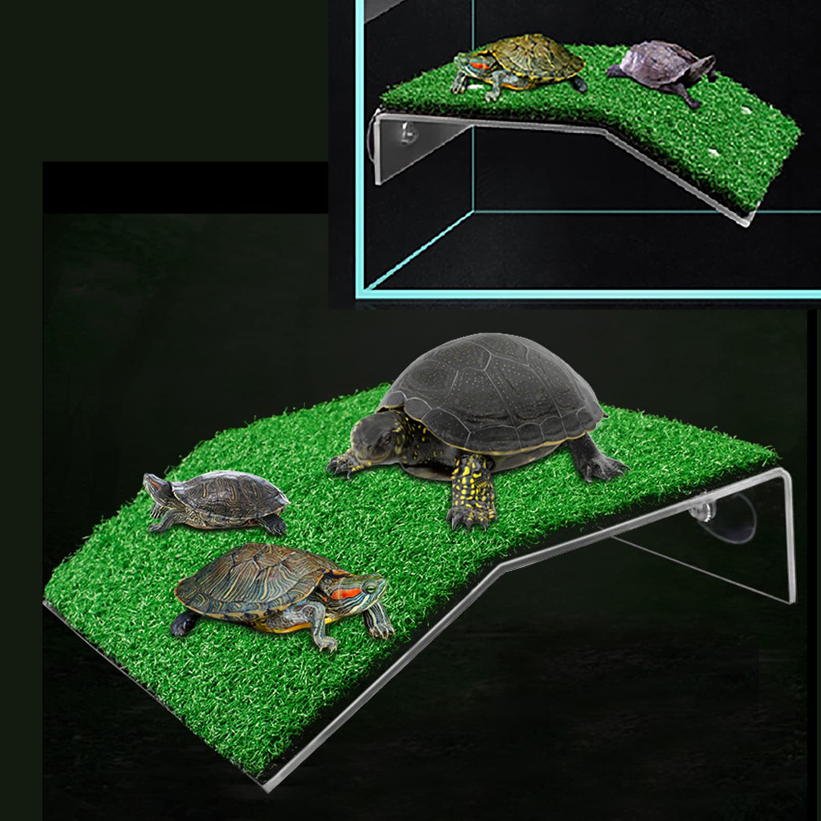 Amazon.co.jp: Keppy Turtle スロープ 亀 バスキングプラットフォーム