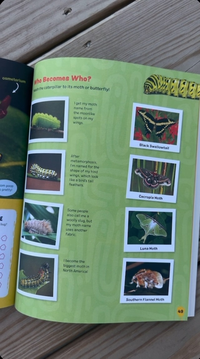Image of The Grossest Bug Activity Book EVER!: Creep Yourself Out with Fun Facts, Mazes, Crosswords, and More