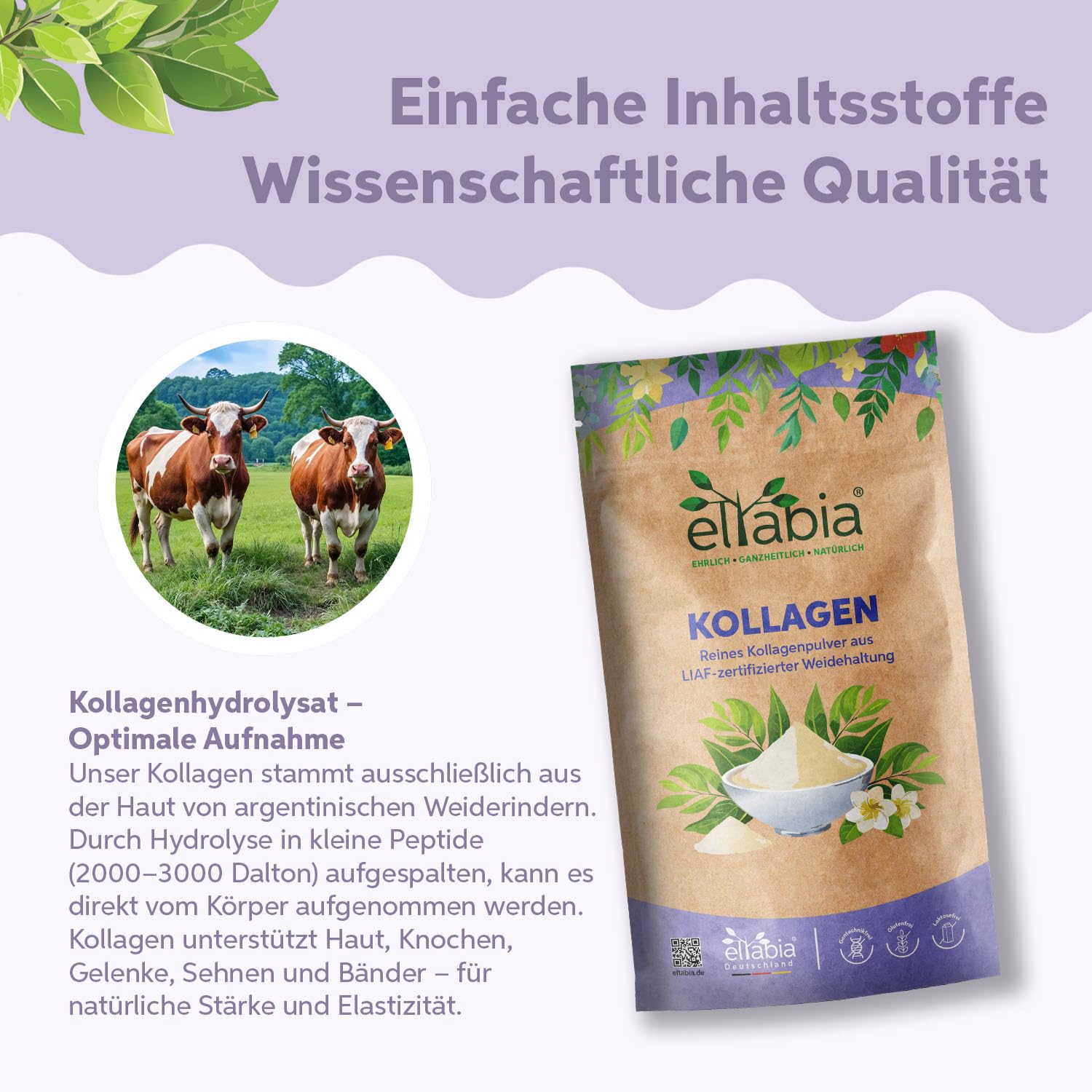 Kollagen Pulver 1kg | LIAF Zertifizierte Weidehaltung Grassfed | Rind Halal Collagen Hydrolysat Peptide