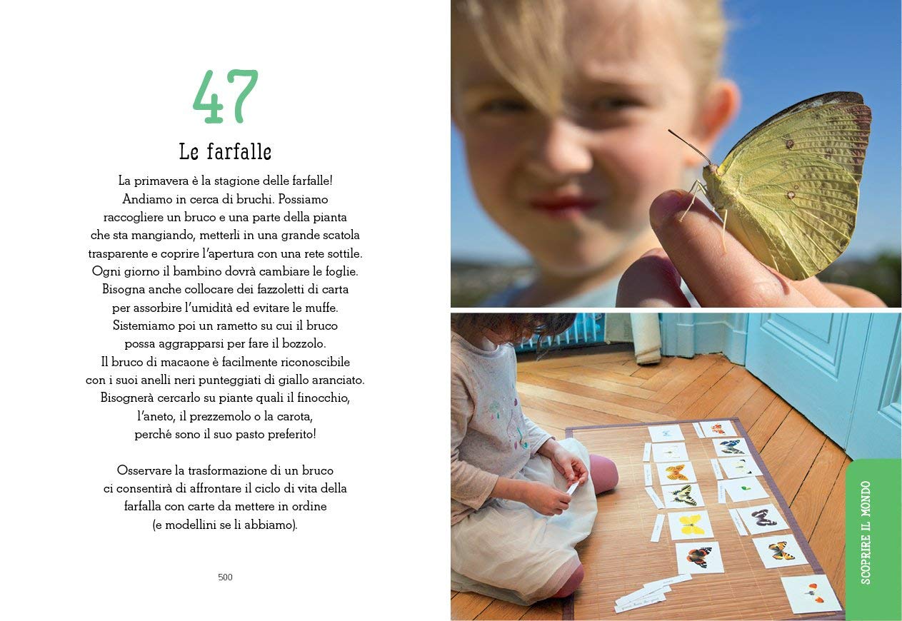 La guida di attività Montessori 0-6 anni. Per accompagnare la «mente assorbente» del bambino
