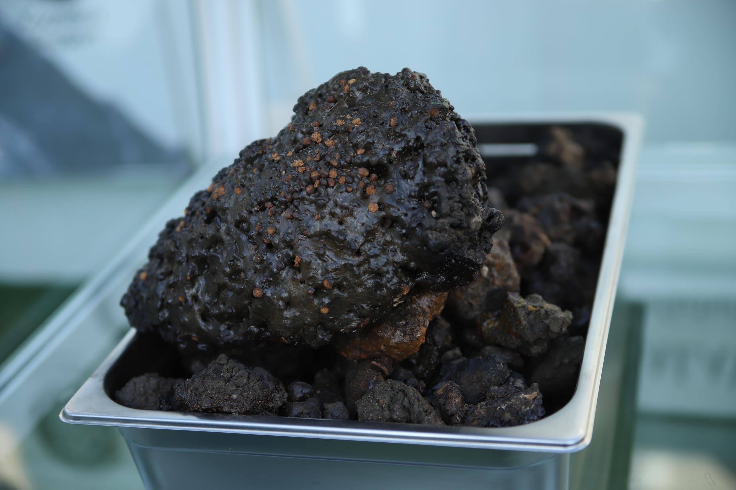 Goldene Shilajit-Kapseln 450 mg 90 Kapseln (3-Monats-Vorrat) Mumijo mit über 85 Natürliche Mineralien mit Fulvinsäure & Huminsäure Natürliche Energie und Vitalität, Pflanzlich, Laborgeprüft