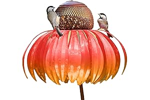 Mesmerizing Metal Coneflower Bird Feeder: A Symphony for Feathered Friends
