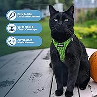 Vista 3 de Best Pet Supplies - Arnés de malla para todo tipo de clima, reflectante, antitirones, para perro y gato pequeño y mediano, con cierre de velcro