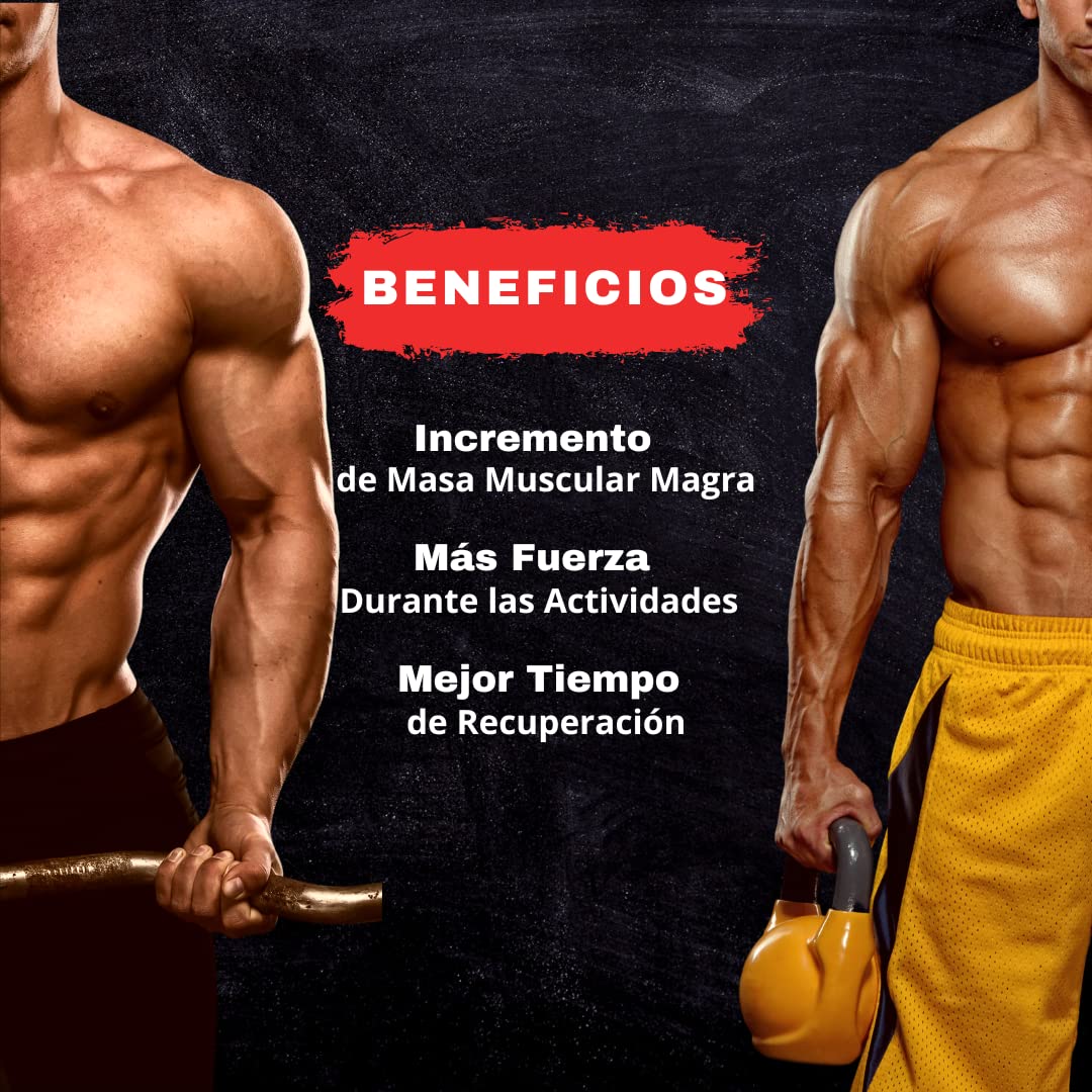 Beverly Tribulus Terrestris 900 mg 90% Saponinas + Avena Sativa, Zinc y Vitamina B6 | 90 Cápsulas Vegetales | 30 Servicios | Vitalidad Masculina, Fuerza y Resistencia