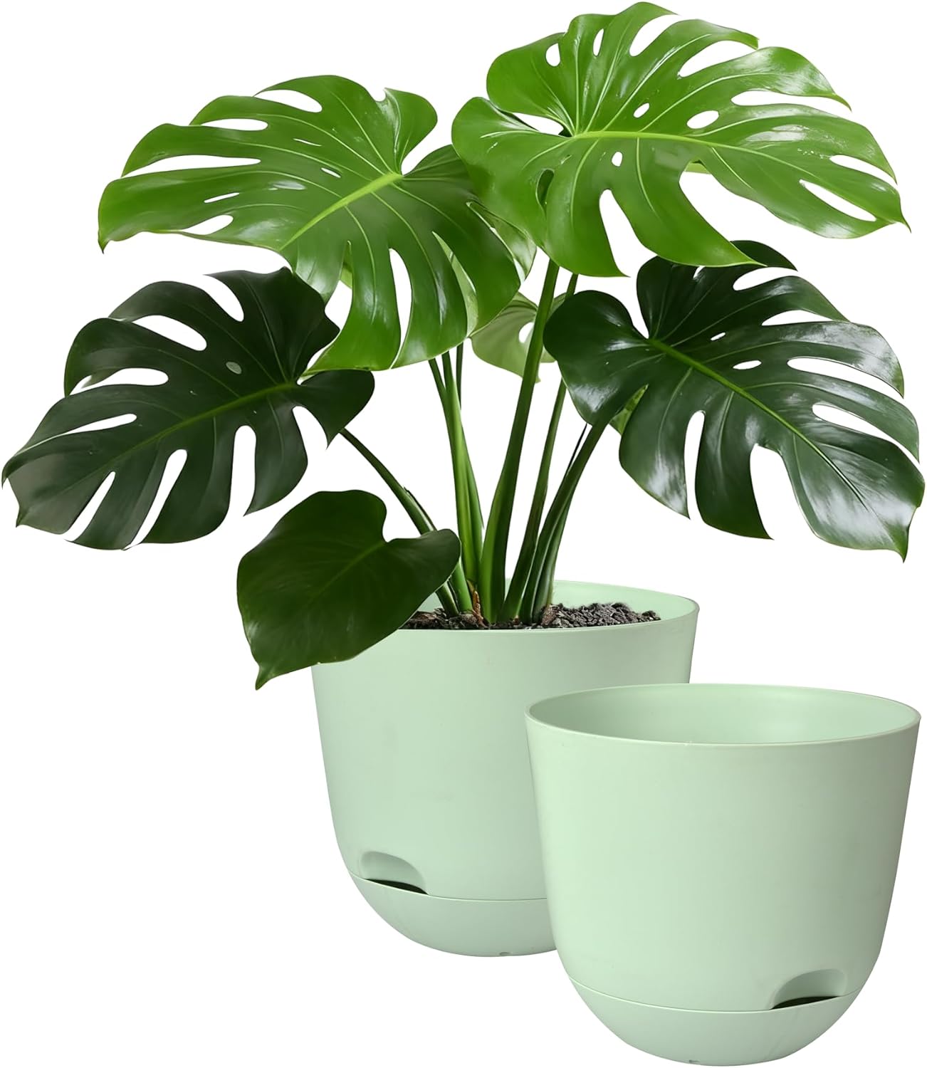 Plant Pots 10 Inch Green Color Self Watering Pots, Set of 2 Plastic Planters with Drainage Holes and Saucers,Plastic Flower Pots,Nursery Planting Pot for Indoor Out Door Plants