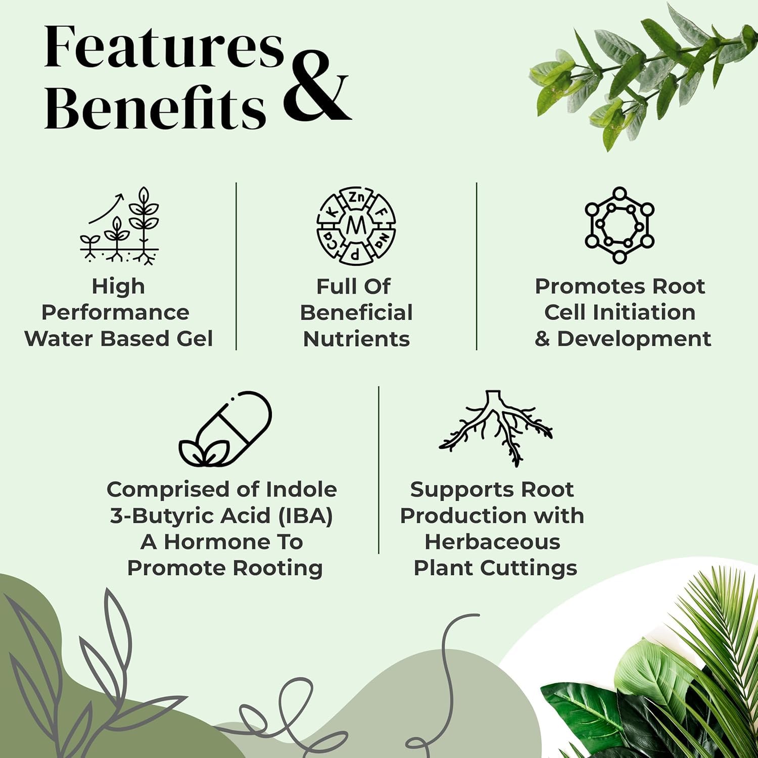 Clonex Rooting Gel - High-Performance Rooting Compound for Plant Cuttings, Contains IBA, Promotes Root Initiation & Development - 250ml