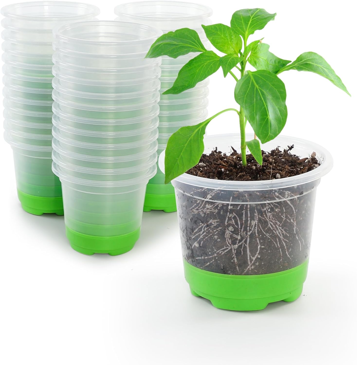 Bonviee 36 Packs 4 inch Reuseable Clear Nursery Pots with