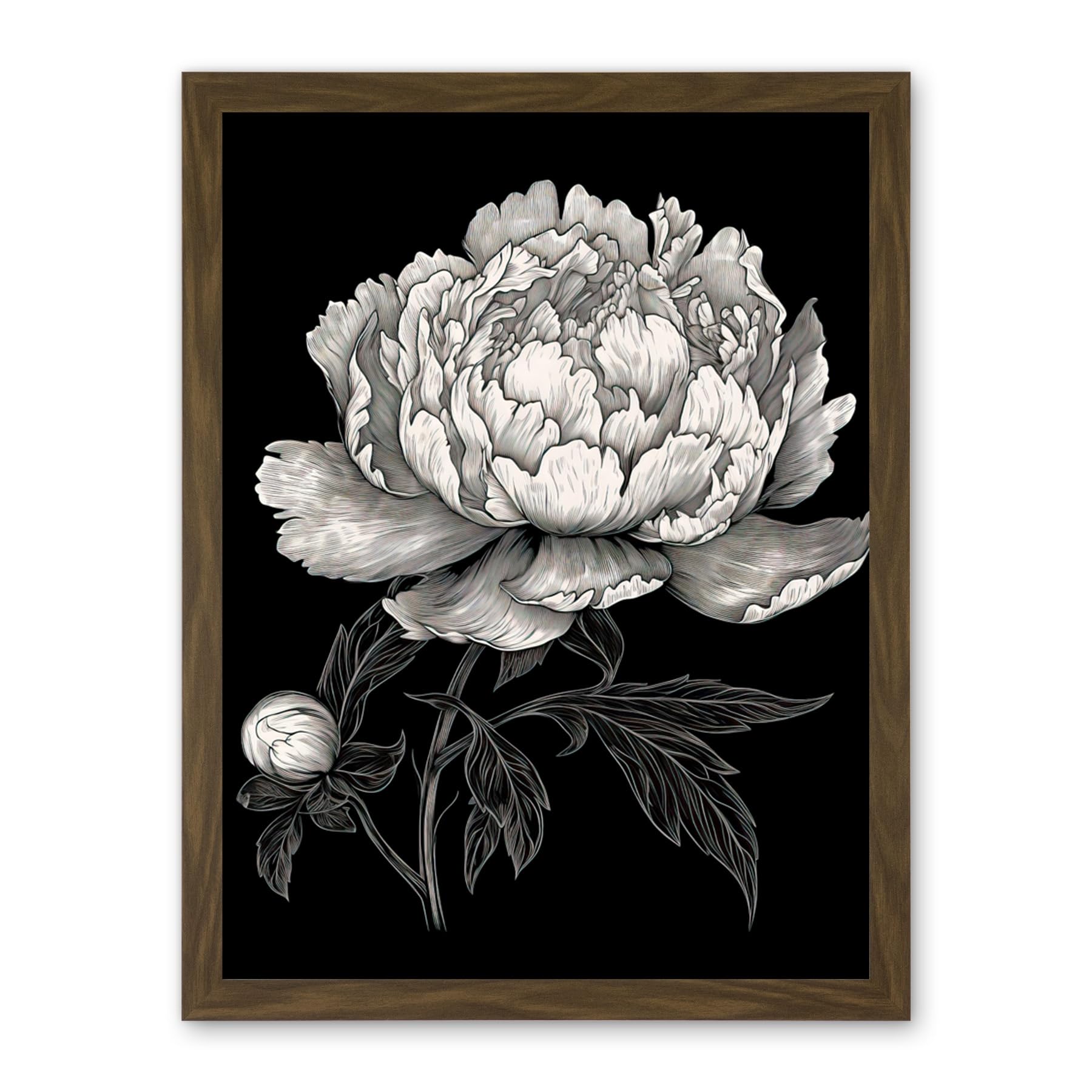Artery8 A Peony Flower Bloom Black and White Blind Contour Artwork Framed Wall Art Print 18X24 Inch