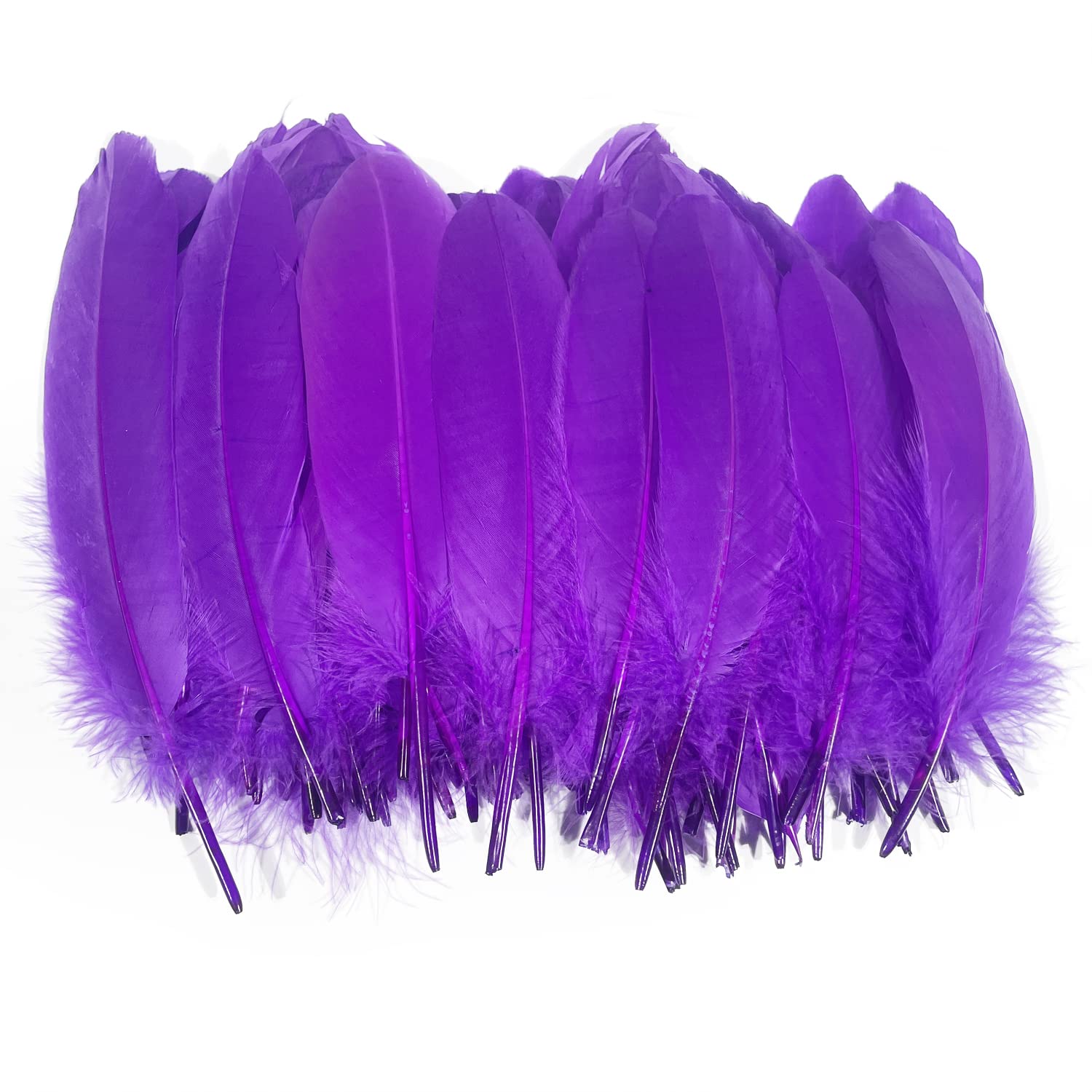 Lampu Natural Goose Feathers 15-20cm/6-8 inches Clothing Accessories Pack of 100 （Purple）