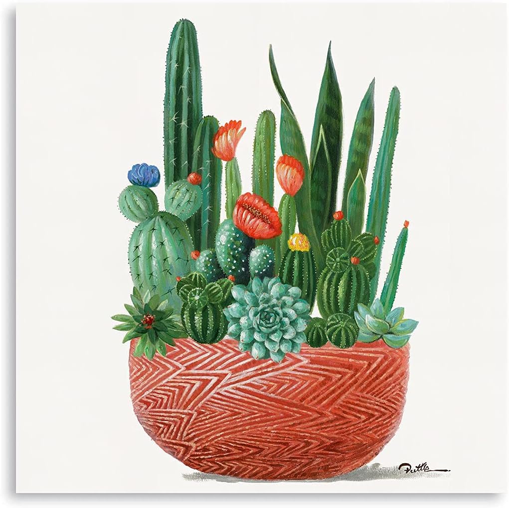 Buy Cactus Wall Art Succulent Pictures Simple Life Bathroom Decor Tropical Framed Cactus Art Sansevieria Trifasciata Prain Painting Flower Picture Basket Decoration Canvas Print For Bedroom 14 X 14 Online In Vietnam