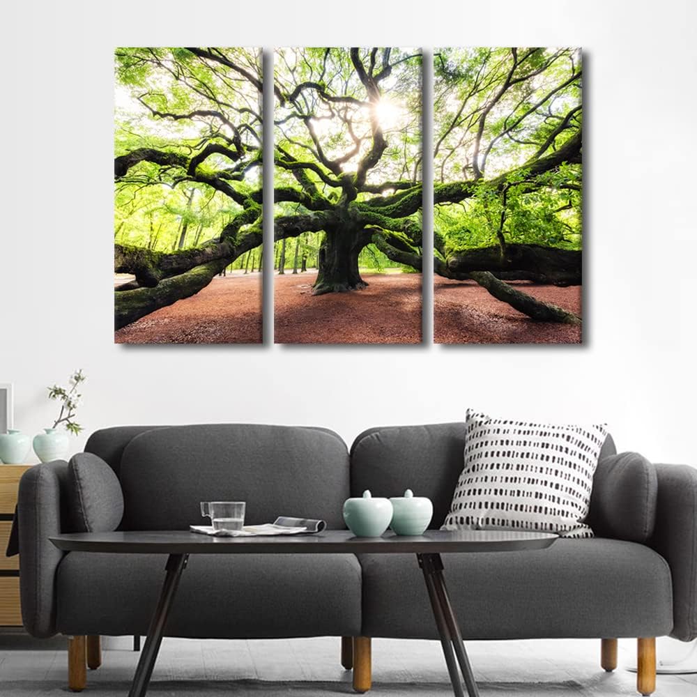 Amazon.com: TUMOVO Angel Oak Tree Wall Art Canvas Natural Landscape ...