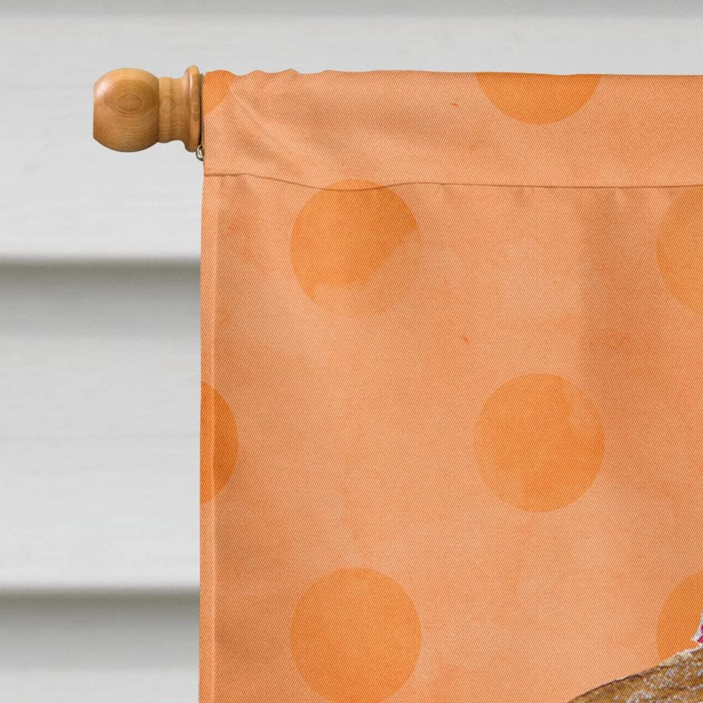 Caroline's Treasures BB8173CHF Sea Shell Orange Polkadot House Flag, Orange Large Porch Sleeve Pole Decorative Outside Yard Banner Artwork Wall Hanging, Polyester, House Size, Multicolor