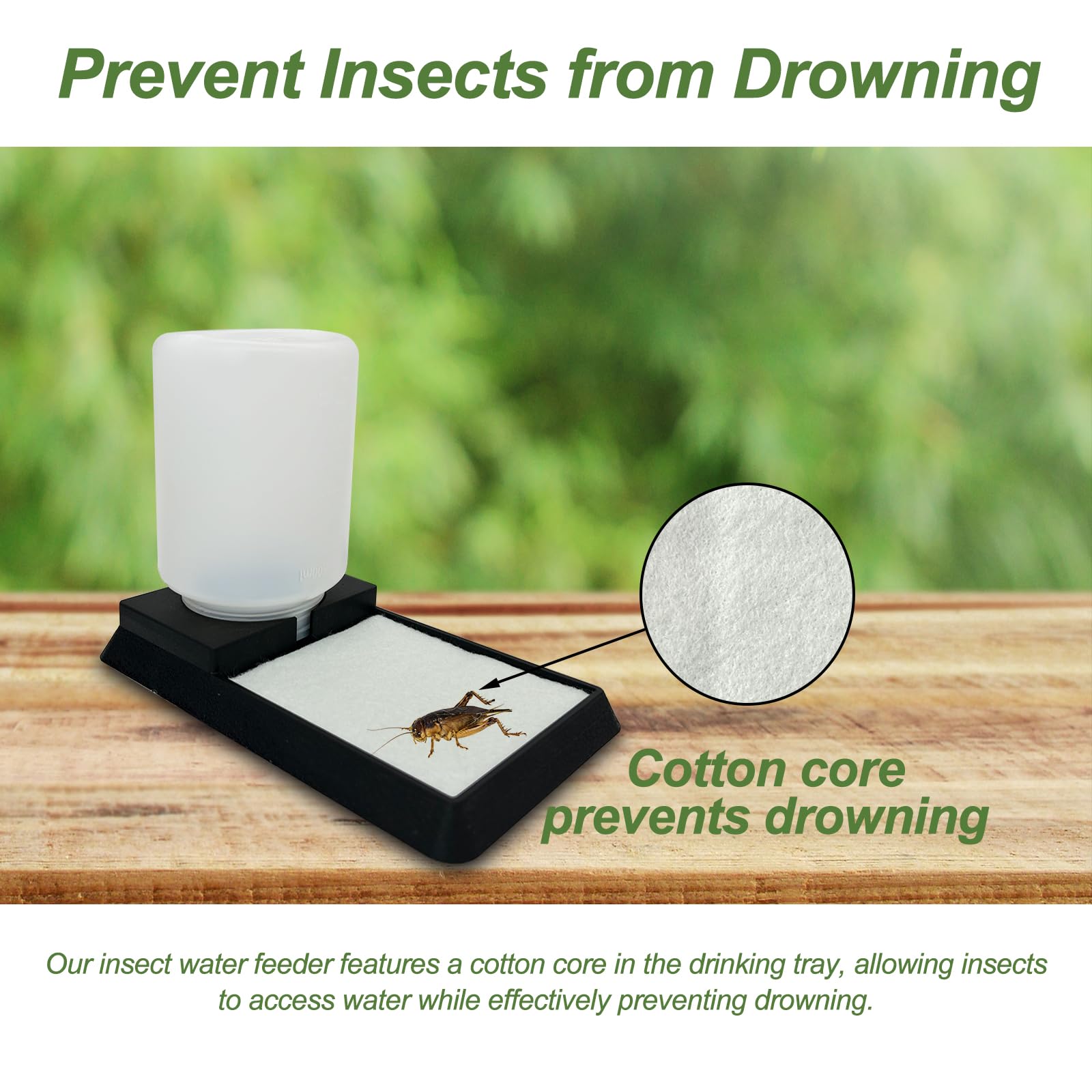 Comedero de agua para insectos, dispensador de agua de araña, estación de riego de insectos, comedero de agua de abeja, para arañas, tarántulas, mantis rezando, escorpiones, grillos, hormigas y otros