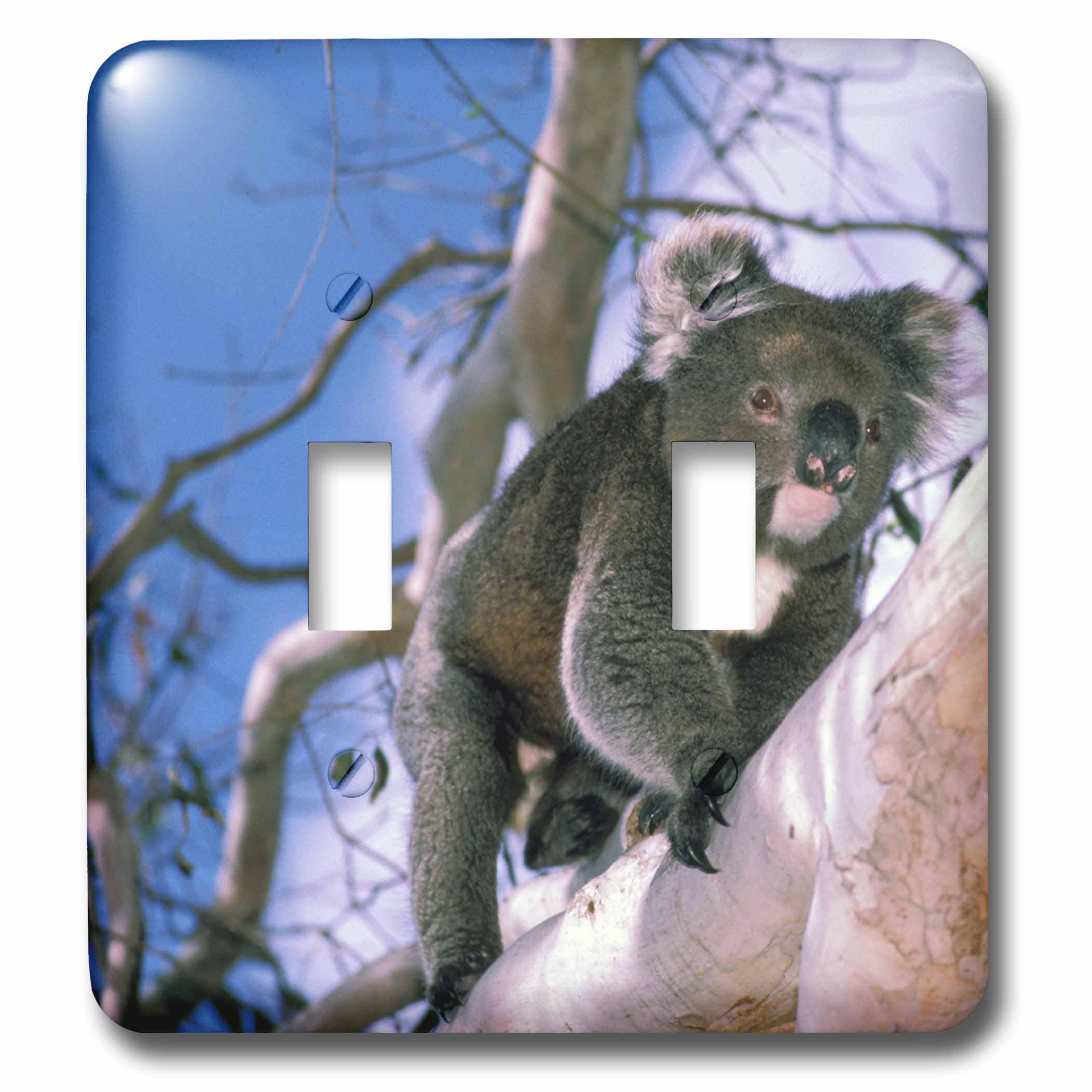 Interrupteur double koala d'Australie pour sublimer la déco d'une chambre