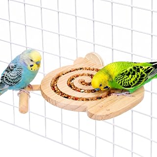 Heclia Bird Foraging Toys with Perch Wooden Parrot Slow Eating Enrichment Toy Bird's Slow Feeding Platform Snail Shape Sunbathing Perch Cage Accessories for Small Parakeets Lovebird Conures