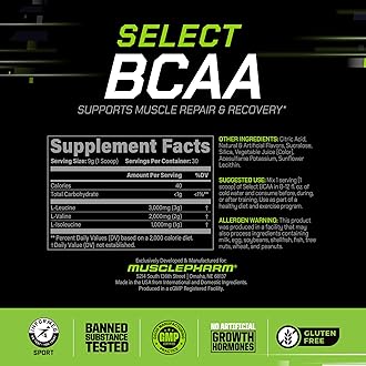 MusclePharm Essentials BCAA Powder, Pre & Post Workout Recovery Drink, Supports Muscle Recovery & Energy, Essential Amino Acids, 30 Serv, Fruit Punch