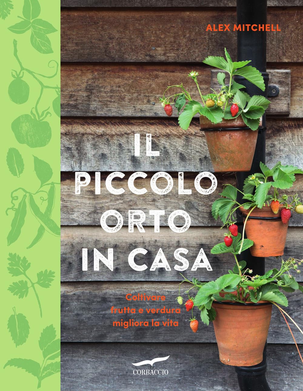 Il Piccolo Orto Di Casa - 4