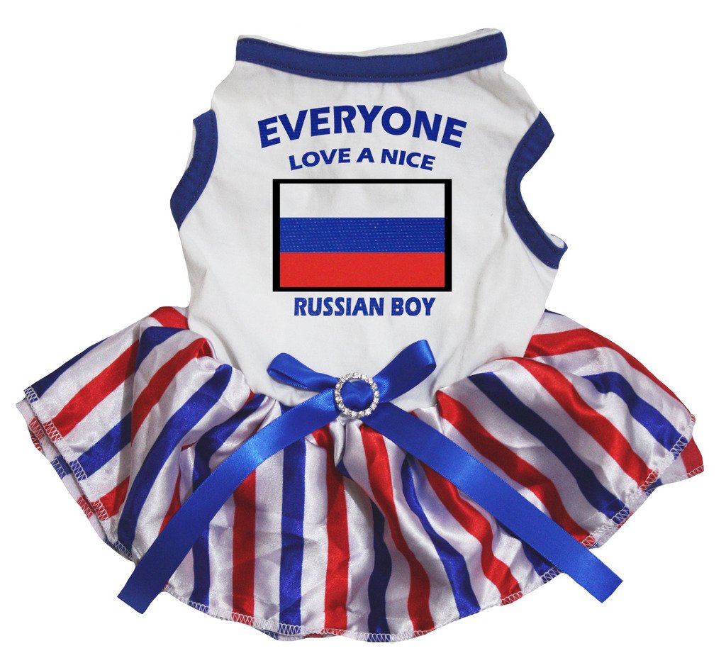 Robe de chiot tutu blanc chemise rayures RWB vêtement petit chien