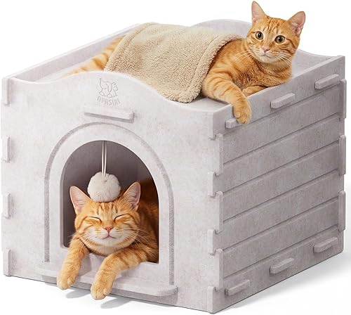 Apasiri Cat Cave Bed for Indoor Cats — main product photo from Amazon listing (ASIN B0FFMJR2TR)