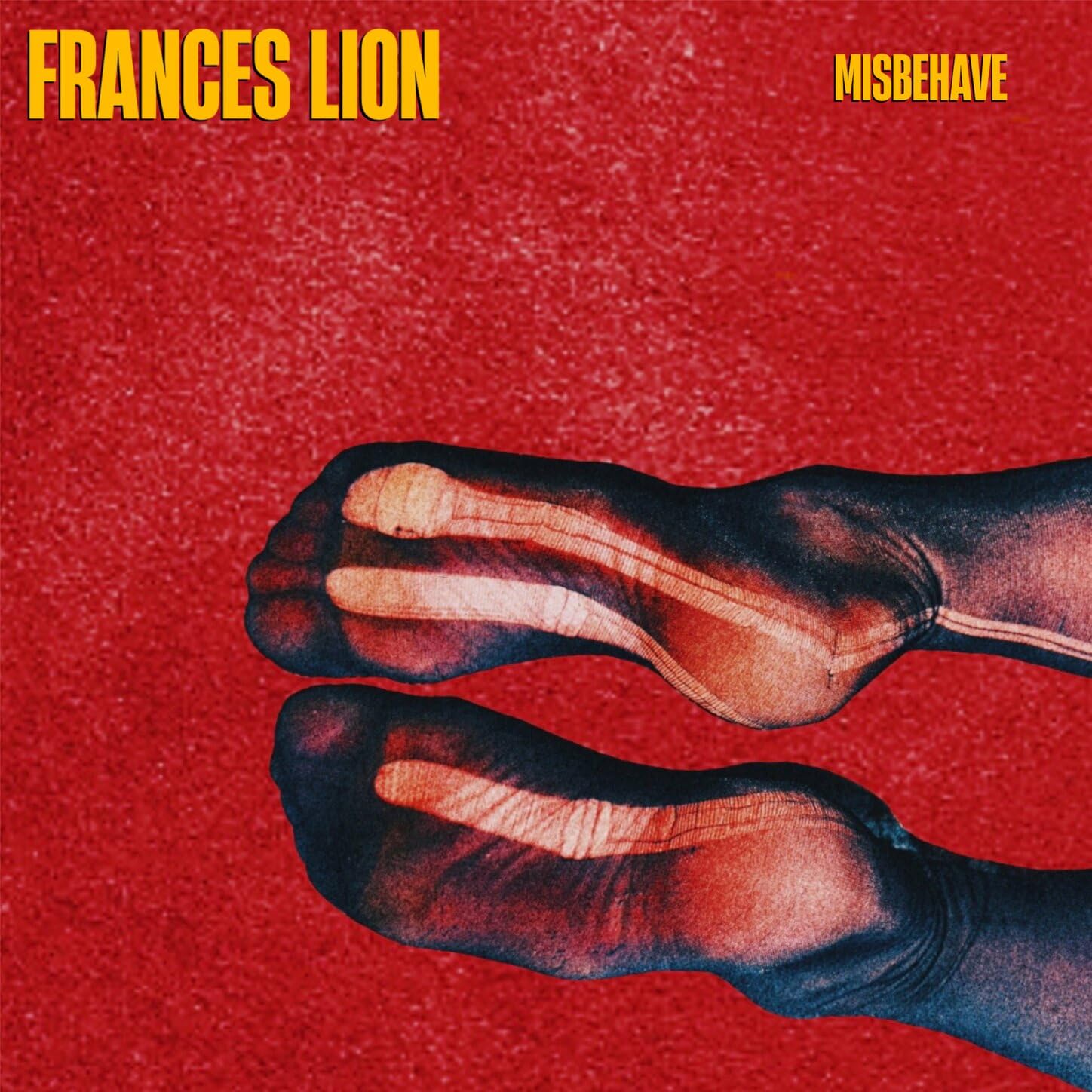 Frances Lion