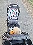 Customer image 1