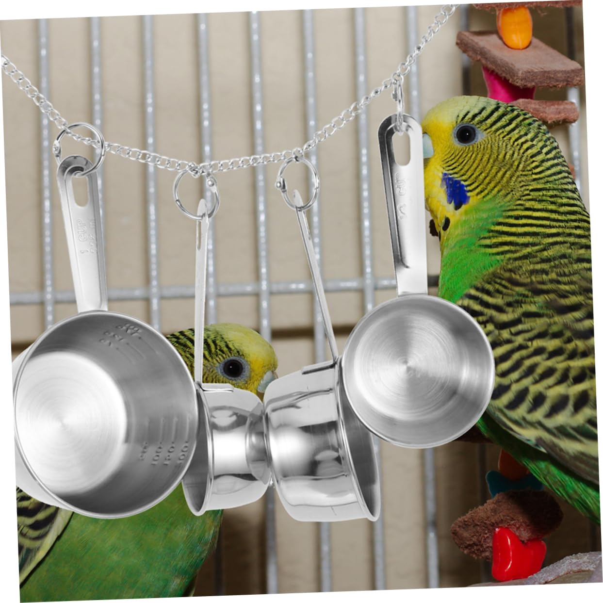 Giocattolo per Pappagalli in Acciaio Inox, 2 Pezzi, Argento | Resistente All’usura, Sicuro da Rosicchiare, per Piccoli Animali, Ornamento Domestico