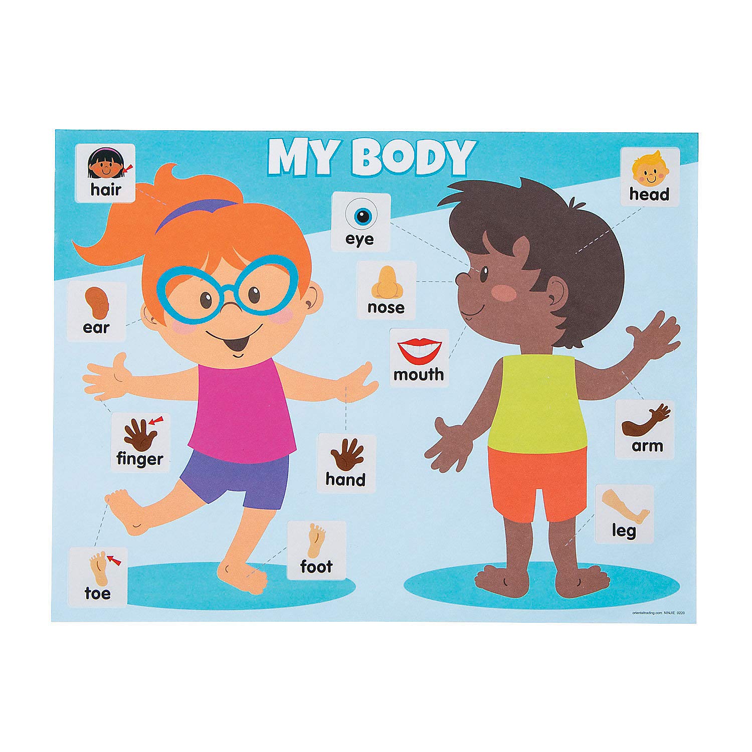 Labeling Body Part Sticker Scenes - 12 Pieces - Educational and Learning Activities for Kids