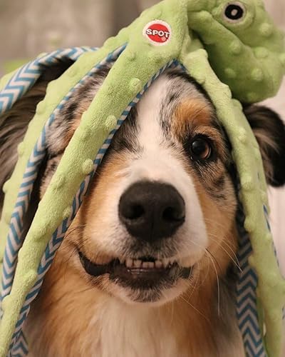 Miniatura 6 de Skinneeez Extreme Stuffingless juguete rechinador, durable con forma de pulpo para perro y gato, 16 pulgadas, surtidos de Ethical Pets