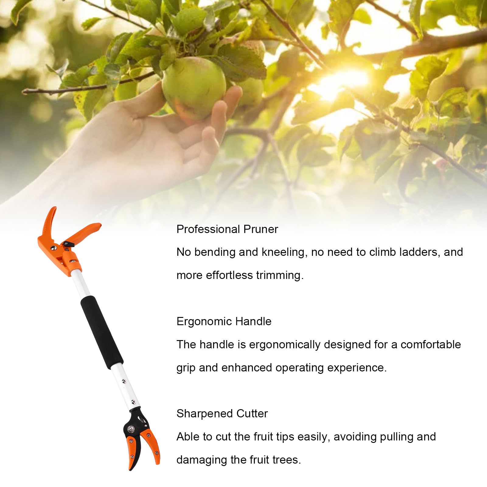 Tijeras Recolectoras de Frutas de 2 Pies, Podadora de árboles Frutales sin Esfuerzo para Huerto de Melocotón Caqui