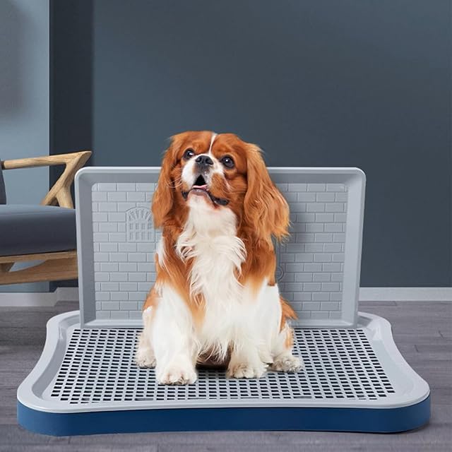 Foto 5 de 5 de Yaoliucp Bandeja para IR al baño, Caja de Arena para Perros de Malla extraíble con Columna de Pared