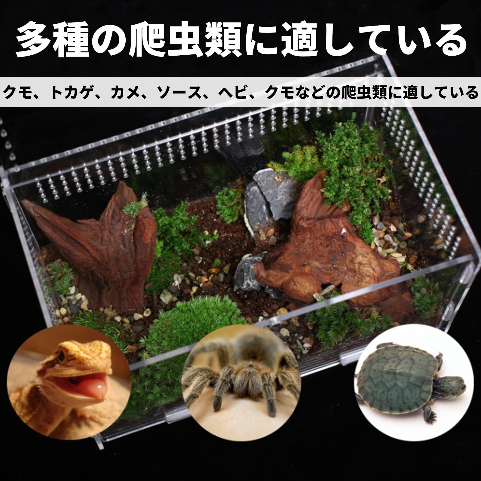 爬虫類飼育セット陸亀用