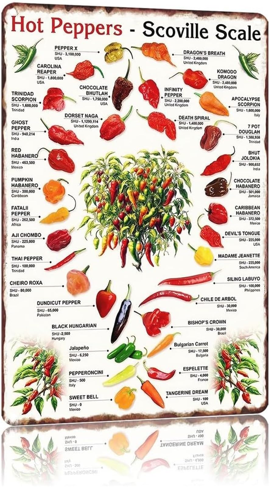 FNYUVNFAF Spicy Pepper Chart Vintage Metal Sign Chili Enthusiast Gift Kitchen Cafe Wall Plaque 8 X 12 in