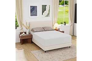 14 Inches of Bliss: PayLessHere Queen Mattress, A Dream for Your Back