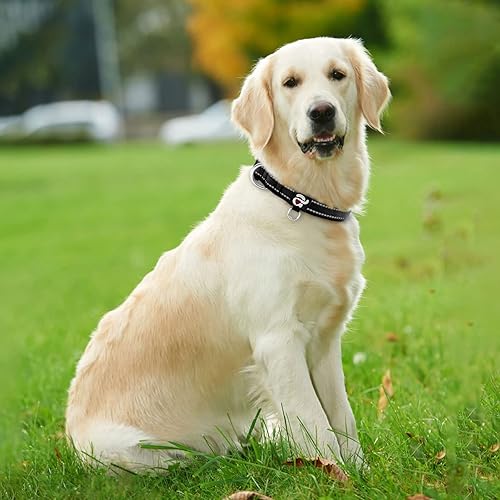 Miniatura 5 de azuza Collar reflectante para perro, collar acolchado de neopreno suave para mascotas con anillo de etiqueta de identificación, ajustable para