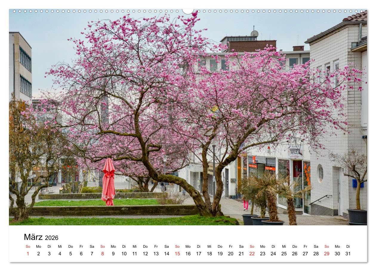 Kassel - Morgenlicht (hochwertiger Premium Wandkalender 2026 DIN A2 quer), Kunstdruck in Hochglanz: Stimmungsvolle Aufnahmen aus Kassel (CALVENDO Orte)