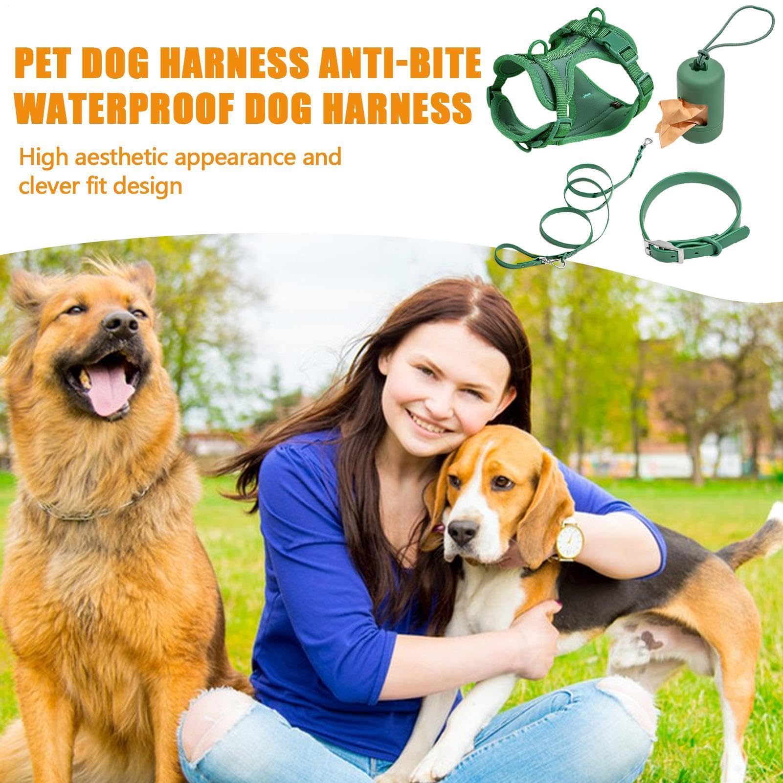 Set di guinzaglio per cani, pettorina per cani, senza tirare, con fibbie | regolabili per cuccioli, con porta sacchetti per escrementi