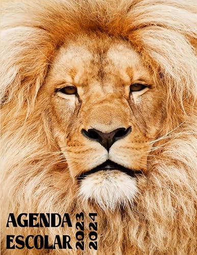 Agenda Escolar 20232024 león Calendarios, Universidades - y planificadores escolares, planificadores escolares con calendario, planificadores ...