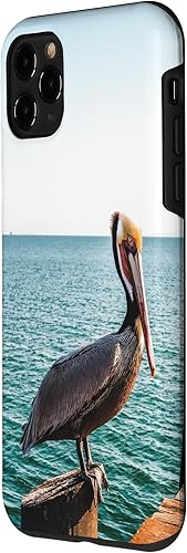 Vista 77 de iPhone 11 Pelican Case