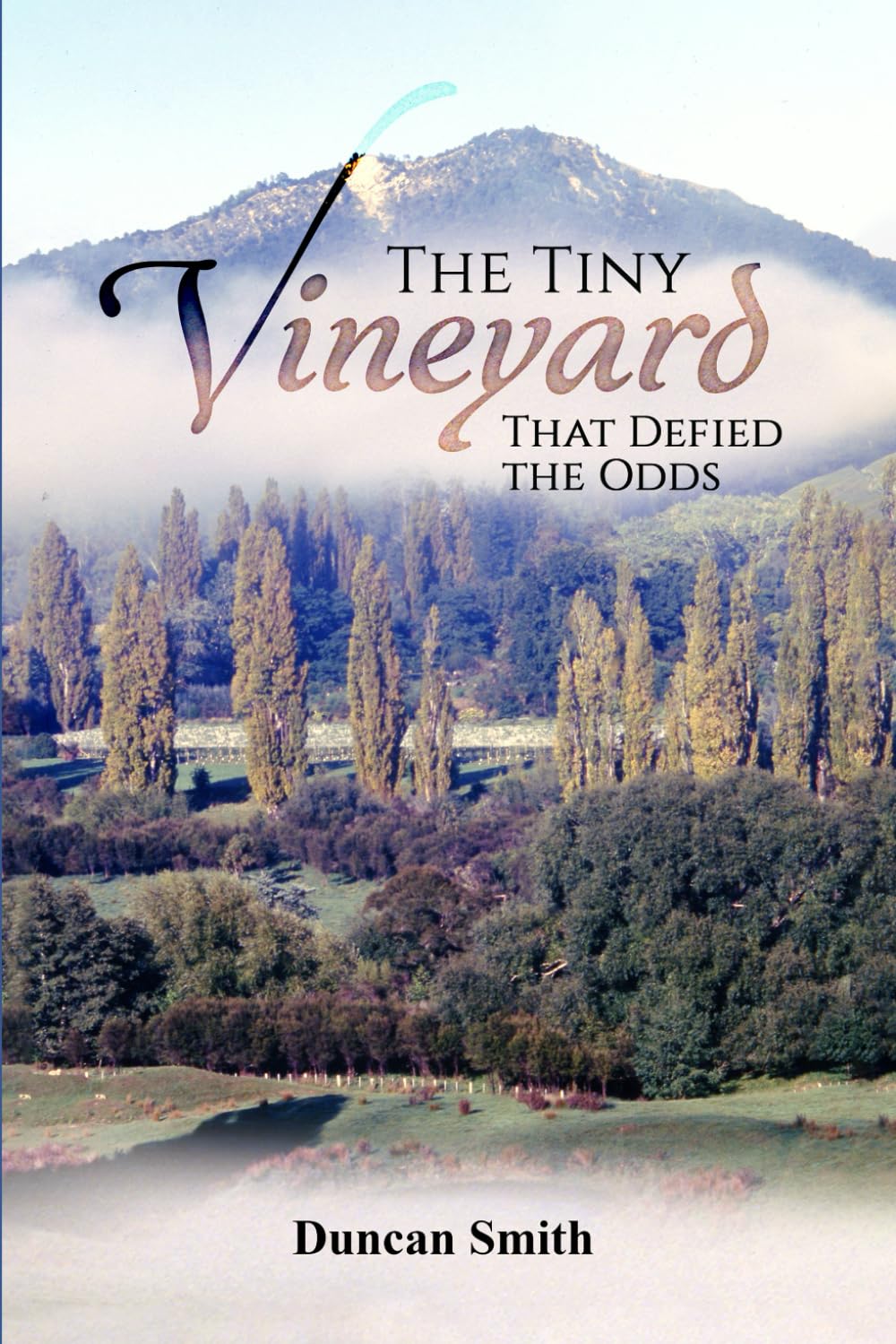 The Tiny Vineyard That Defied The Odds