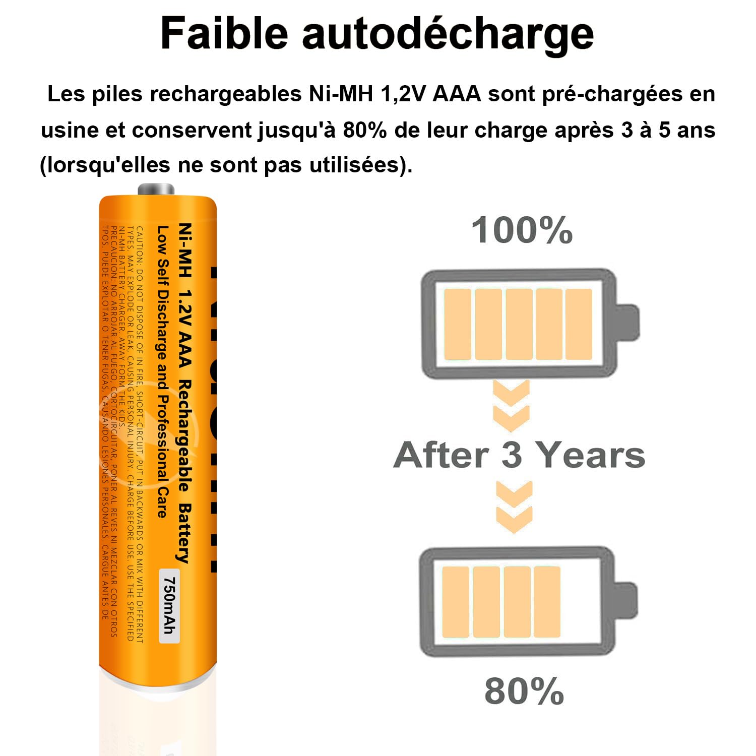 Piles Rechargeables AAA 750mAh 1,2V Ni-MH Lot de 6 pour Gigaset Panasonic