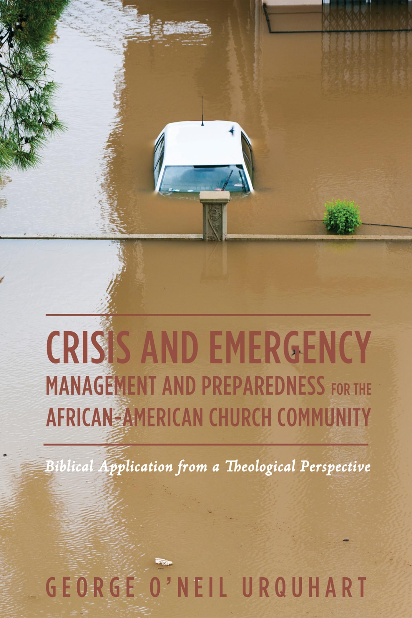 Buy Crisis and Emergency Management and Preparedness for the African-American Church Community: Biblical Application from a Theological Perspective — BookShops.in