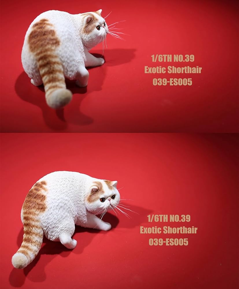 2006年　エキゾチックショート Amazon.co.jp: 1/6 サイズ エキゾチック・ショートヘア 猫 ペット