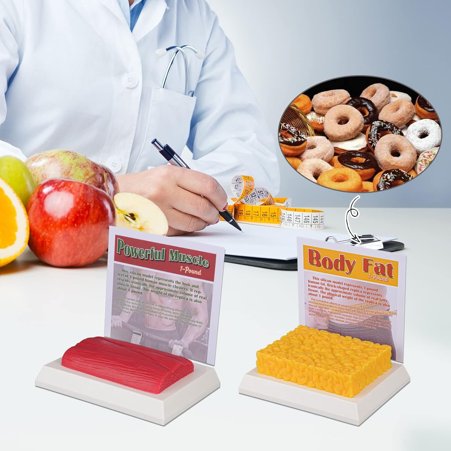 SimCoach Human Body Fat & Muscle Replica 1 Lb, Keep Fit &Fitness Motivation Reminder, Silicone Human Muscle Fat Model for Nutritionist, Athlete