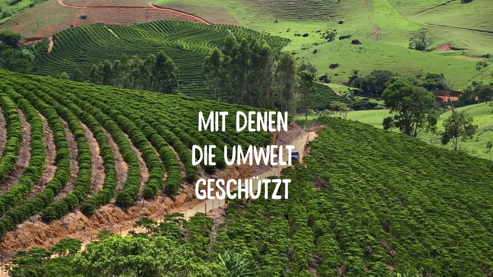 NESCAFÉ Frappé Typ Iced-Coffee, Frappé-Kaffeepulver mit Instant-Kaffee, laktosefrei, koffeinhaltig, 1er Pack (1 x 275g) – Bild 6