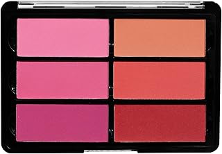 Viseart Paleta Paris Blush Rose/Coral