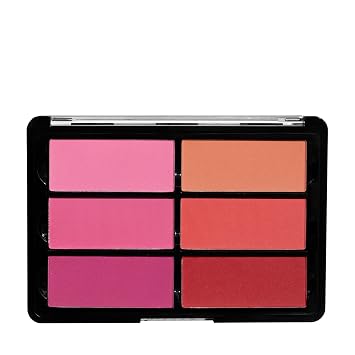 Viseart Paris Blush Palette Rose/Coral
