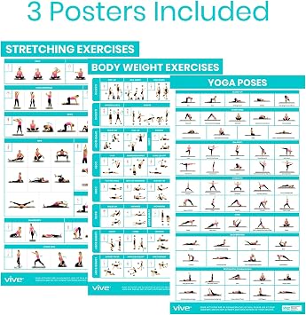 Vive Workout Posters for Home Gym (3 Pack) - Bodyweight, Yoga Poses, Stretching Exercises - Home Equipment Accessories Fitness Guide Chart Motivation Sequence for Women, Men, Kids - Laminated, Colored