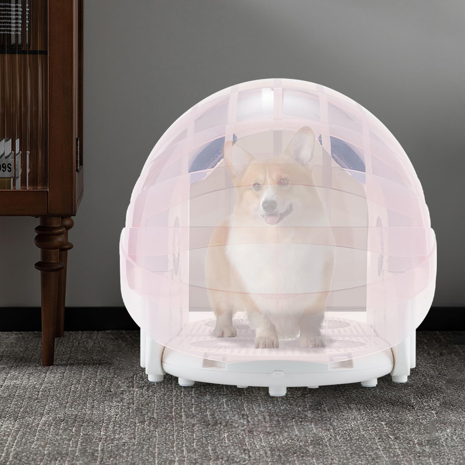 Secchiello automatico per animali domestici, portatile, pieghevole, 600 W, scatola di asciugatura elettrica a 360°, temperatura regolabile, per animali domestici, gatti e cani